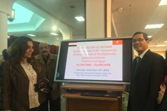 Ngày Văn hóa Việt Nam tại Damietta. (Nguồn: Vietnam+)