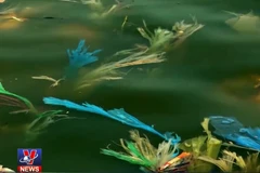 [Video] Việt Nam đứng thứ 4 thế giới về xả rác thải nhựa ra biển