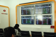 Ảnh minh họa. (Nguồn: TTXVN)