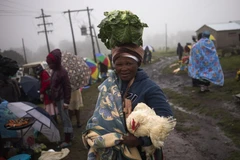 Một người dân địa phương mua rau và gia cầm tại một ngôi chợ gần Qunu, ở tỉnh Eastern Cape. (Nguồn: Reuters)
