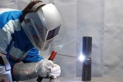 Ảnh minh họa. (Nguồn: TTXVN)