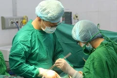 Ảnh minh họa. (Nguồn: TTXVN)