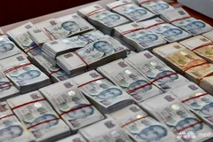 Ảnh minh họa. (Nguồn: channelnewsasia.com)