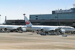 Máy bay của Hãng hàng không Japan Airlines. (Nguồn: ndtv.com)