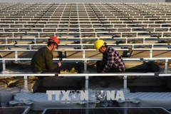 Công nhân làm việc tại Nhà máy điện Mặt trời ở Hoài Nam, tỉnh An Huy, miền đông Trung Quốc tháng 12/2017. (Nguồn: AFP/TTXVN)