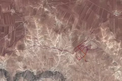 (Nguồn: news.com.au)