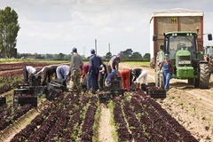 (Nguồn: fginsight.com)