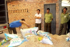 Lực lượng chức năng tiến hành tiêu hủy số phân bón giả, kém chất lượng. (Ảnh: Lê Thúy Hằng/TTXVN)