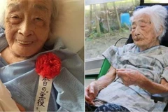 Cụ bà Nabi Tajima. (Nguồn: latestly.com)