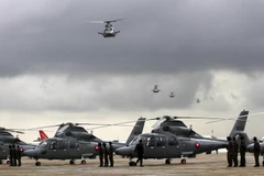  12 máy bay trực thăng (Z9) mua của Trung Quốc tại căn cứ Không quân Hoàng gia Campuchia ở Phnom Penh. (Nguồn: AFP/TTXVN)
