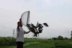  Các nghệ nhân đang vực chim. (Ảnh: Thanh Thương/TTXVN)