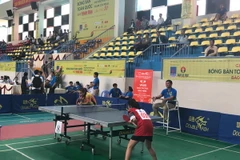 (Ảnh: PV/Vietnam+)