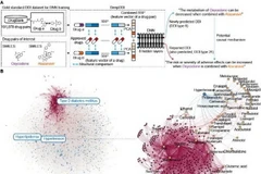 Hàn Quốc sử dụng trí tuệ nghệ nhân tạo dự đoán sự tương tác thuốc
