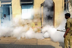 Phun thuốc khử trùng nhằm ngăn chặn sự lây lan của virus Zika tại Mumbai, Ấn Độ. (Ảnh: AFP/TTXVN)