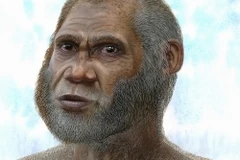 Người cổ đại. Ảnh minh họa. (Nguồn: Phys.org)