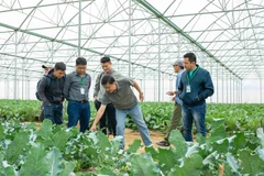 Các hộ nông dân tham quan và học tập tại nông trường VinEco