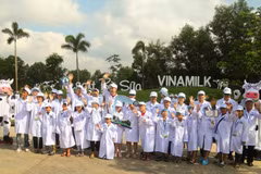Bắt đầu chuyến tham quan ngôi nhà lý tưởng của những cô bò hạnh phúc nhất vùng đất Tây Ninh thôi!