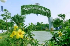“Resort” bò sữa này làthành viên trong hệ thống chuẩn Global GAP lớn nhất châu Á về số lượng trang trại của Vinamilk 