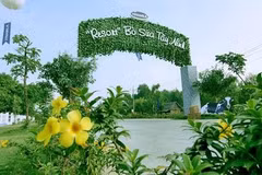 “Resort” bò sữa này làthành viên trong hệ thống chuẩn Global GAP lớn nhất châu Á về số lượng trang trại của Vinamilk 