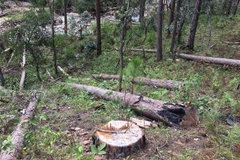 (Ảnh minh họa: Đặng Tuấn/TTXVN)