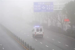 (Ảnh minh họa: THX/TTXVN)