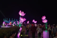 Các mô hình hoa đăng, vườn sen trong ngày hội. (Ảnh: Ánh Tuyết/TTXVN)