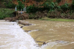 (Ảnh minh họa: Nguyên Linh/TTXVN)