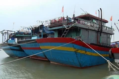 Các tàu cá neo đậu tránh trú bão số 13 tại âu thuyền xã Phú Hải, huyện Phú Vang. (Ảnh: Đỗ Trưởng/TTXVN)