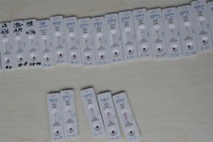 Các mẫu để xét nghiệm COVID-19 tại một trung tâm ở Tangerang, Indonesia ngày 4/5/2020. (Ảnh: THX/TTXVN)