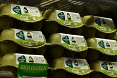 Trứng bày bán tại siêu thị ở Alkmaar, Hà Lan. (Nguồn: AFP/TTXVN)