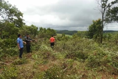 Khu vực đất công bị người dân vào lấn chiếm. (Ảnh: Anh Dũng/TTXVN)