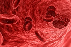 Ảnh chỉ có tính minh họa. (Nguồn: Sputnik)