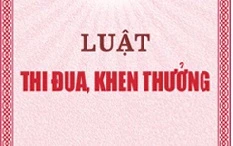 Quy định tiêu chuẩn danh hiệu chiến sỹ thi đua toàn quốc, cơ sở