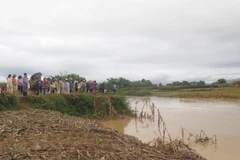 Ảnh chỉ có tính minh họa. (Ảnh: Xuân Tiến/TTXVN)