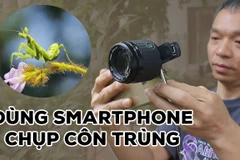 Bước vào thế giới tí hon chỉ bằng smartphone và ống macro tự chế. (Ảnh: Minh Anh/Vietnam+)