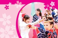 Lễ hội Satsuki 2010 Nhật Bản sẽ diễn ra hai ngày 8-9/5 tại Hà Nội. (Ảnh minh họa).