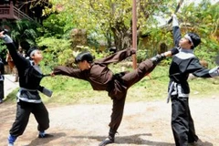 Các võ sư biểu diễn Võ cổ truyền Bình Định (Nguồn ảnh: internet)