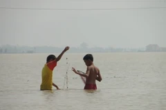 Trẻ thơ mưu sinh giữa lũ. (Ảnh: Sơn Bách/Vietnam+)