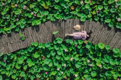 Những năm qua, Hang Múa (Ninh Bình) trở thành điểm đến yêu thích của rất nhiều bạn trẻ nhờ vẻ đẹp kỳ vĩ, hoang sơ cùng với đầm sen bạt ngàn là điểm nhấn đáng chú ý. (Ảnh: Minh Sơn/Vietnam+)