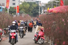 Trước thềm Tết Nguyên đán hằng năm, chợ hoa Quảng An (Tây Hồ, Hà Nội) lại nhộn nhịp hơn những ngày bình thường. (Ảnh: Minh Sơn/Vietnam+)
