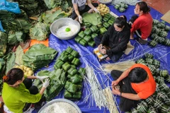 Vào những ngày này, cánh cổng dẫn vào Tranh Khúc (huyện Thanh Trì, Hà Nội) lại nhộn nhịp hơn vì người dân nơi đây đang tất bật gói bánh chưng để cung cấp cho thị trường Tết. (Ảnh: Minh Sơn/Vietnam+)