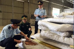 Ảnh minh họa. (Nguồn: TTXVN)