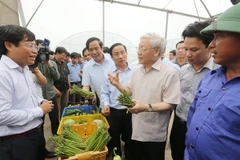 Tổng Bí thư Nguyễn Phú Trọng thăm Dự án sản xuất rau, củ, quả công nghệ cao trên đất cát dọc bờ biển Hà Tĩnh. (Ảnh: Trí Dũng/TTXVN)