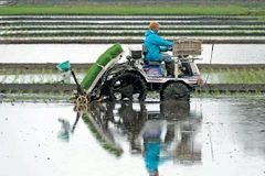 Ảnh chỉ có tính minh họa. (Nguồn: EPA)