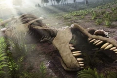 Ảnh chỉ có tính minh họa. (Nguồn: BBC)