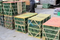 Ảnh chỉ có tính minh họa. (Ảnh: Nguyễn Hoàng/TTXVN)