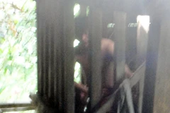 Đã 10 năm rồi, Lò Văn Suất phải sống chung với những cơn mê loạn và chiếc cũi bằng gỗ khổng lồ (Ảnh: Sơn Bách/Vietnam+)