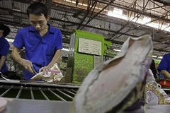 Ảnh chỉ có tính minh họa (Nguồn: Internet)