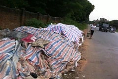 Nhiều con đường ở thj xã Sơn Tây đã trở thành bãi tập kết rác bất đắc dĩ khi bãi rác Xuân Sơn bị phong tỏa (Ảnh: Xuân Dũng/Vietnam+)