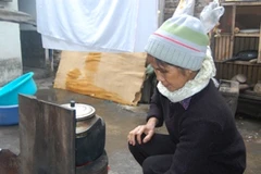 Bà Trần Thị Hòa trầm ngâm khi nghĩ về ngày Tết sắp tới. (Ảnh: Xuân Dũng/Vietnam+)